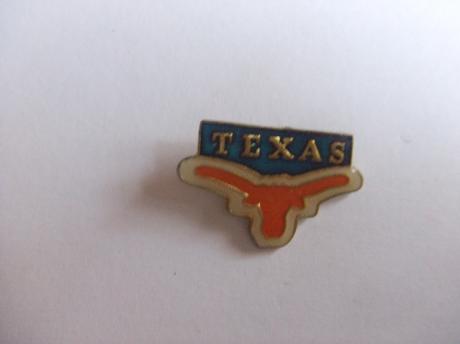 western Texas indianenstad